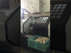 Phụ kiện trượt Pex