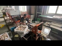 ODM ống khí đồng tắt van tùy chỉnh với màu tay cầm màu xanh