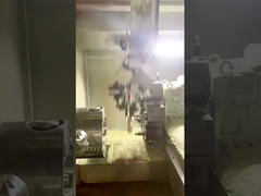 PN25 đồng đồng nam nữ 1/2 